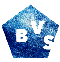Online leeromgeving BVS-schooladvies