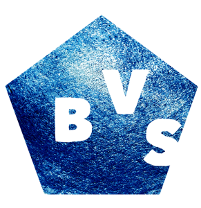 Online leeromgeving BVS
